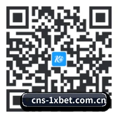 安卓掌上数据终端 二维码